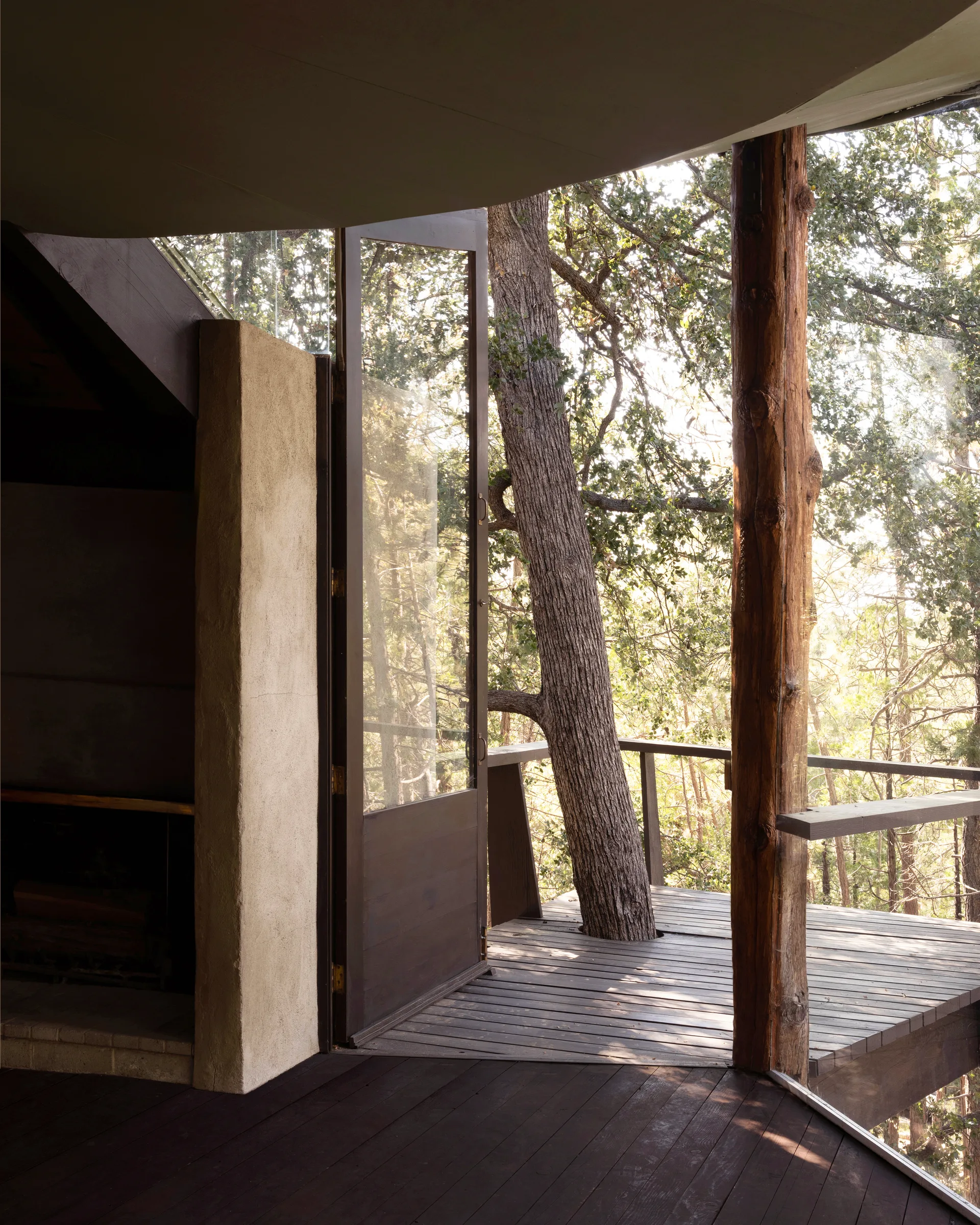 From inside: dark plank floors, plaster wall and open glass door leading to a weathered wood deck where a live tree rises through the floor, rough bark column at right, simple railing, and sunlit forest beyond