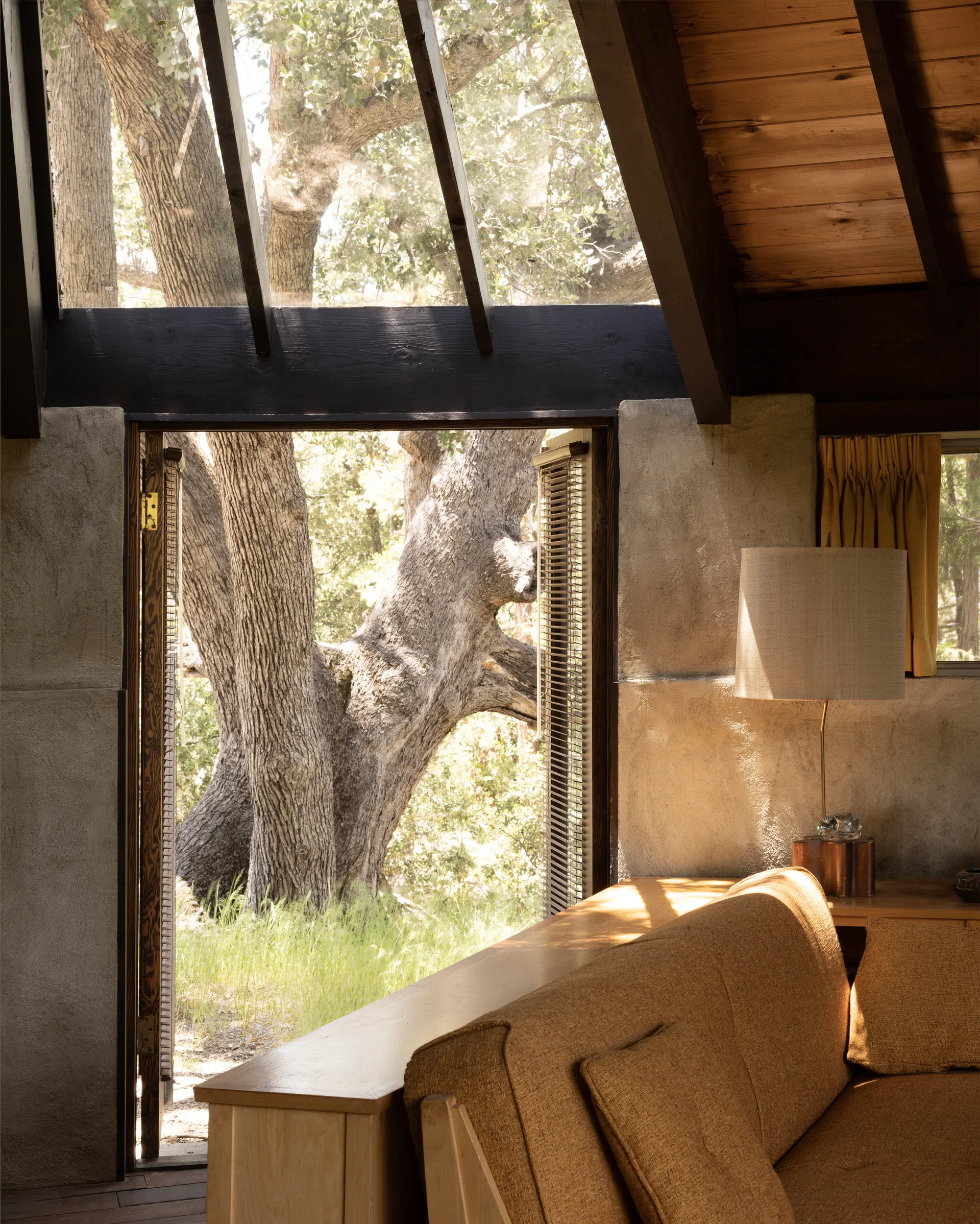 Bright interior with exposed beams and skylights above wide open doors framing a massive tree trunk and sunlit grass; plaster walls, wood console with tall shade lamp, and sofa in the foreground