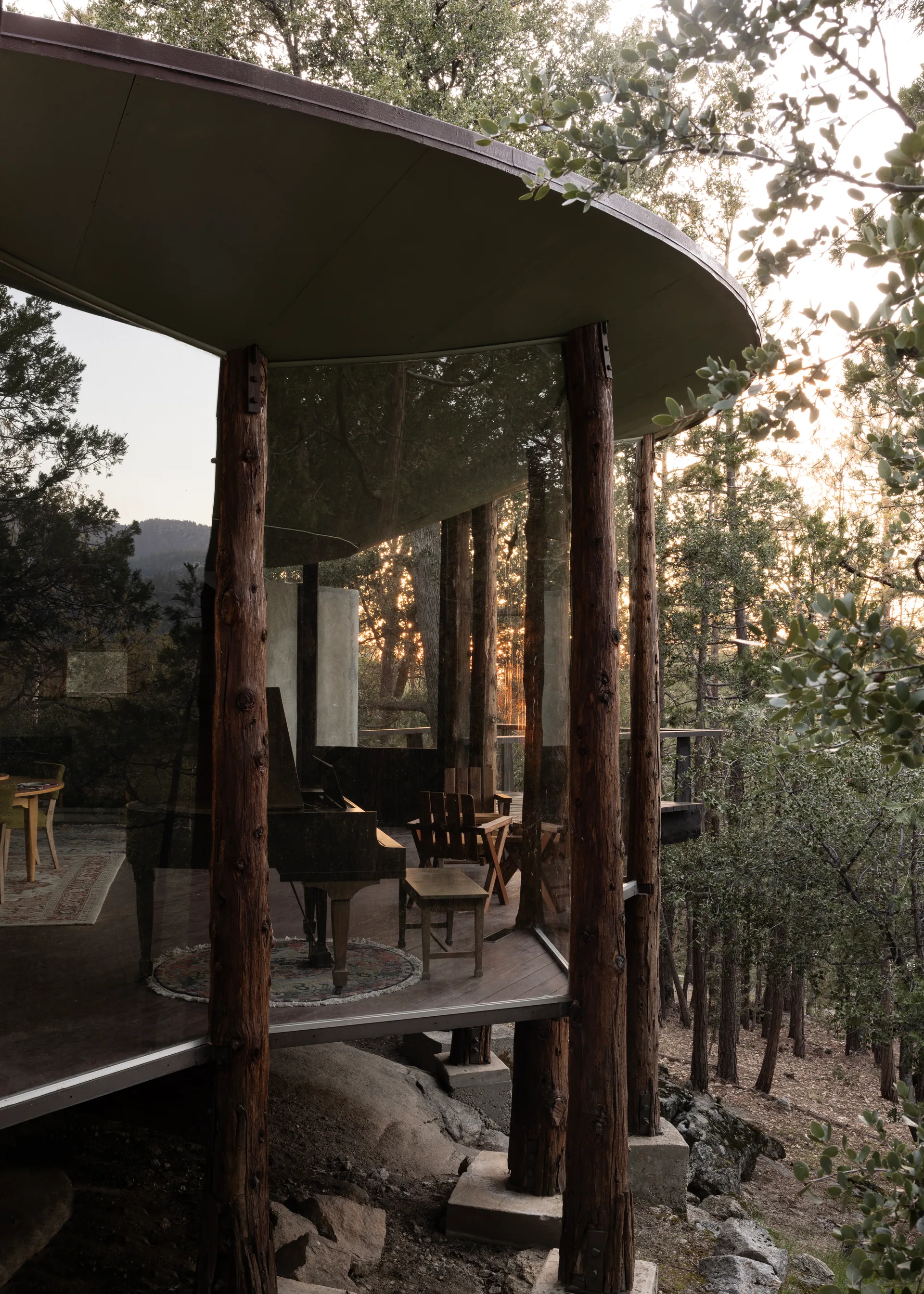 Same façade and moment as the previous image, alternate vertical crop: slightly shorter frame on the curved glass pavilion, log supports, rocky ground, and low sun glowing through the forest behind