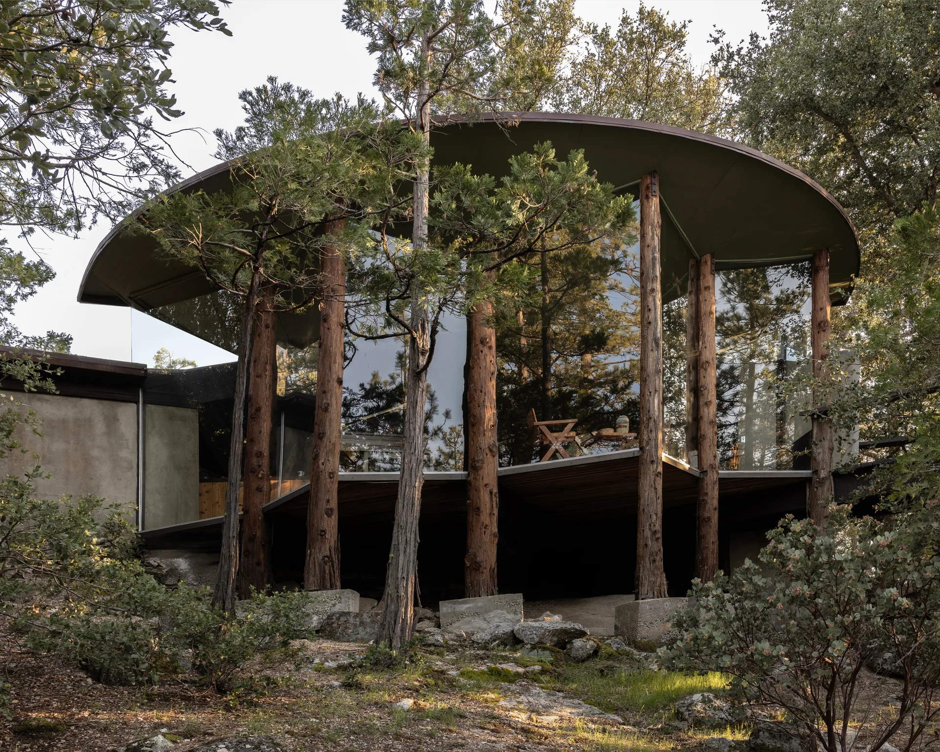 Same exterior photograph as the previous image in a taller 10×8 crop: more overhead branches and a slim foreground tree trunk in front of the pavilion, six log columns on concrete bases, and reflective curved glass
