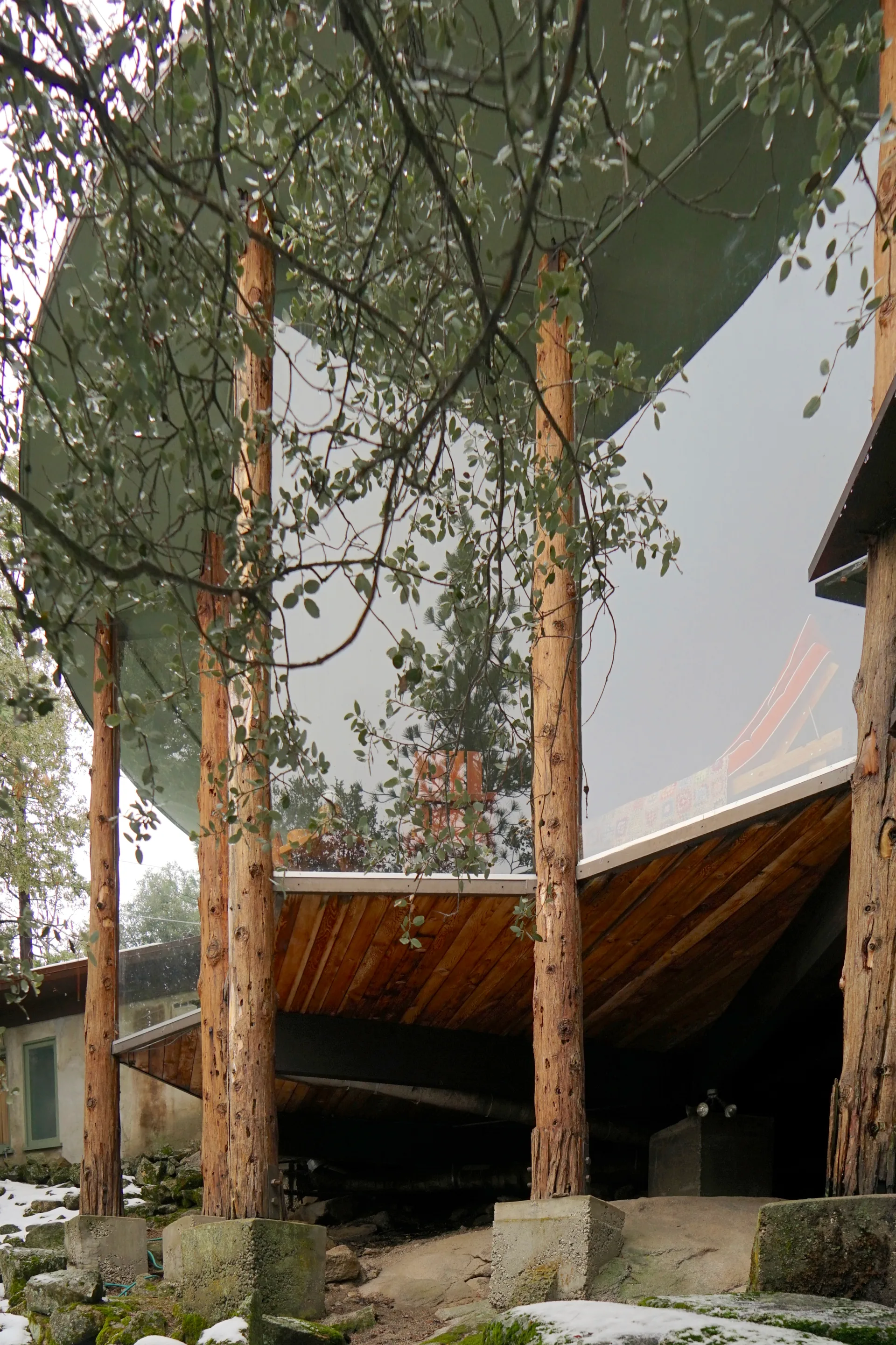 Low-angle view of the sweeping reflective curved roof supported by tree-trunk columns on concrete bases, with sloped wooden section and reflections of trees and sky
