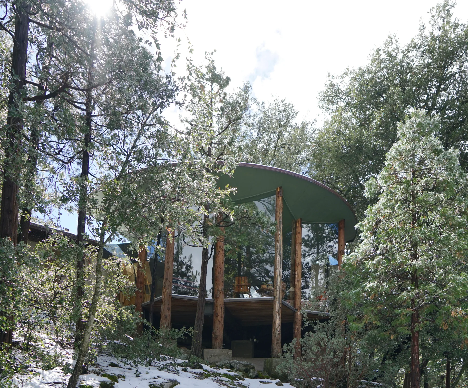 Exterior from below: curved dark olive green roof and tree-trunk columns, glass walls reflecting pines and sky, deck and snow with sunlight through the trees