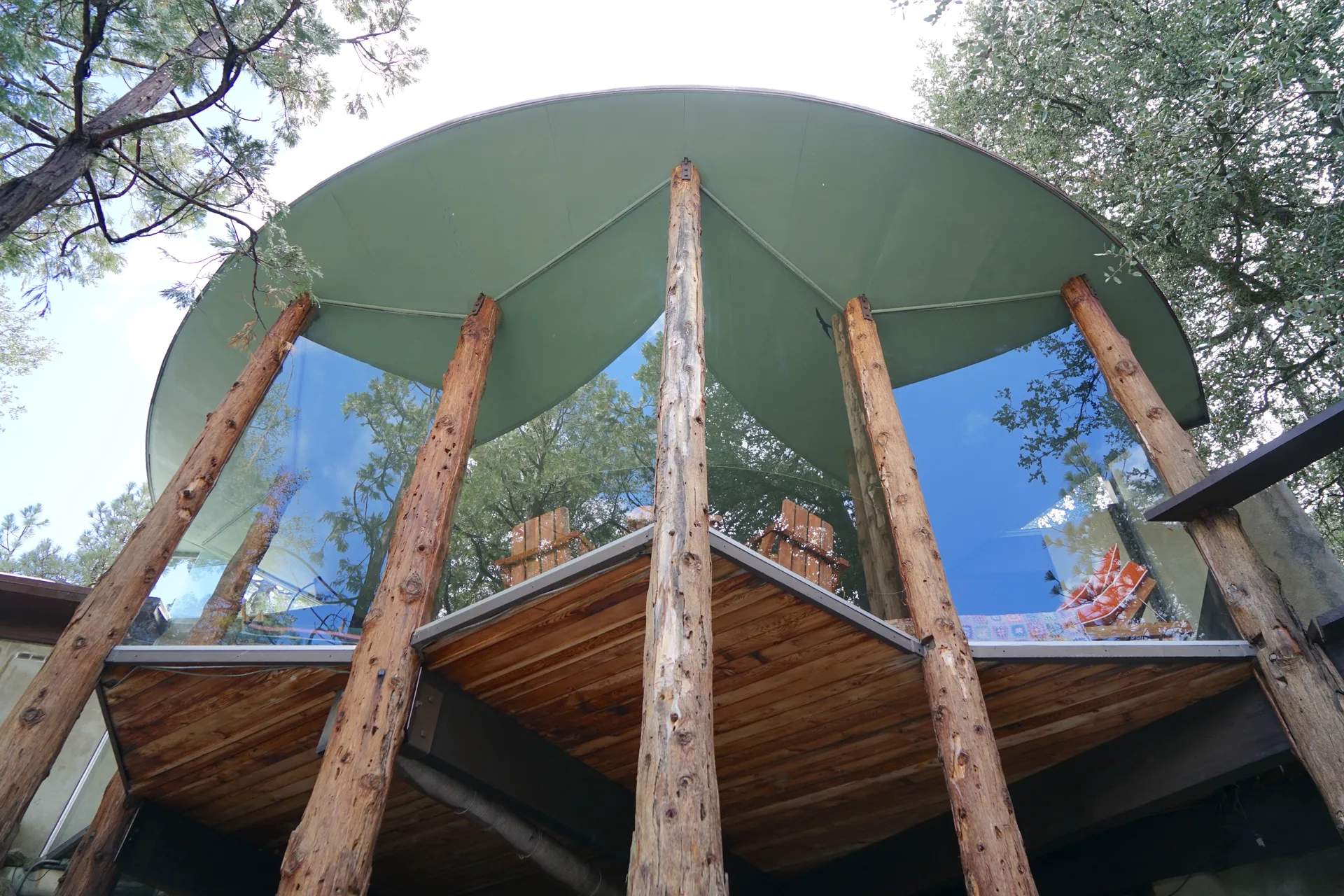 Low-angle view upward at the curved light green roof, log columns, and reflective glass walls mirroring sky and tree canopy above the wooden deck